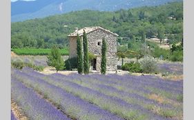 Le Petit Cabanon Aux Lavandes